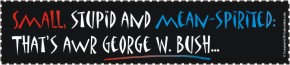 Small, Stupid and Mean-spirited: Thats's Awr George W. Bush! 