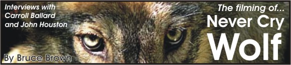 Astonisher.com 'Never Cry Wolf' banner