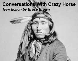 Conversations With Crazy Horse by Bruce Brown on Astonisher.com