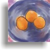 thumbnail of "Oranges in a Blue Bowl" by Bruce Brown