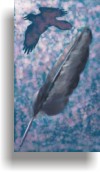 thumbnail of "Raven Moon" by Bruce Brown