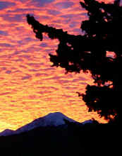 dec_dawn_122901_500pix.jpg (43439 bytes)