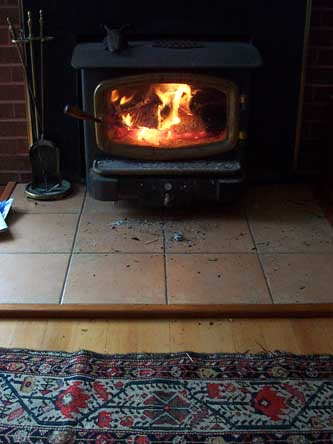 fire_031702.jpg (30500 bytes)