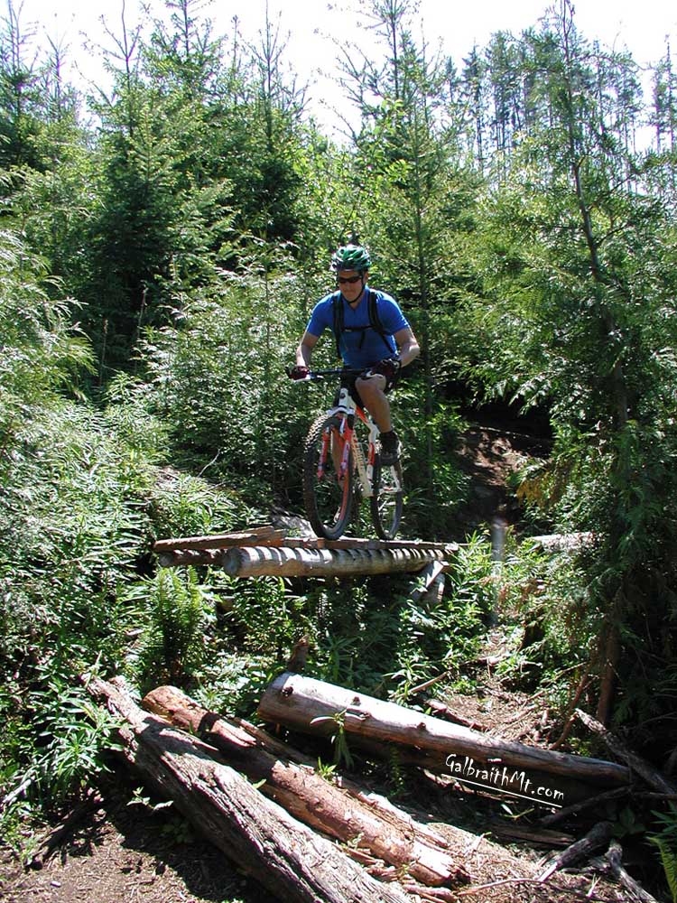 Crash Test Andy on the Teeter-totter on the old Prson Love Trail on Galbraith Mt. in Bellingham, WA