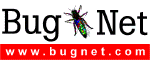 bugnet_online.gif (12596 bytes)