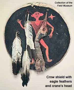 Crow shield with eagle feathers and crane's head
