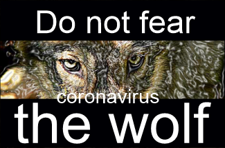 Don't fear the coronavirus wolf, by Bruce Brown