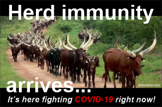 Herd immunity arrives