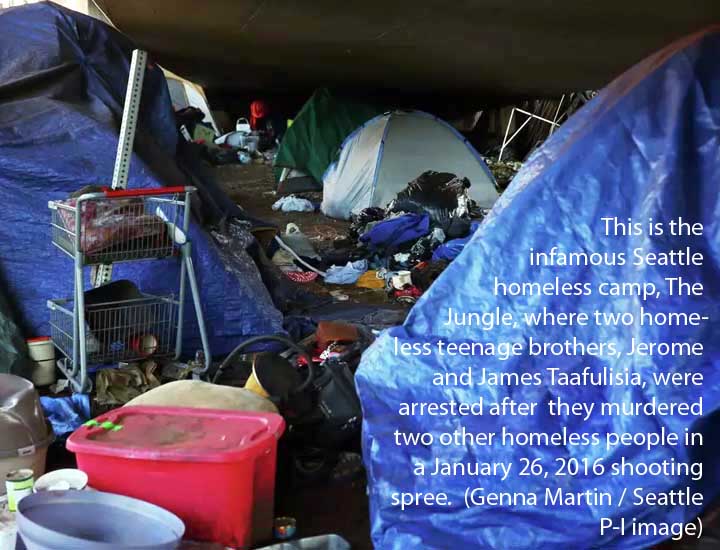 The Jungle homeless camp in Seattle, 2016